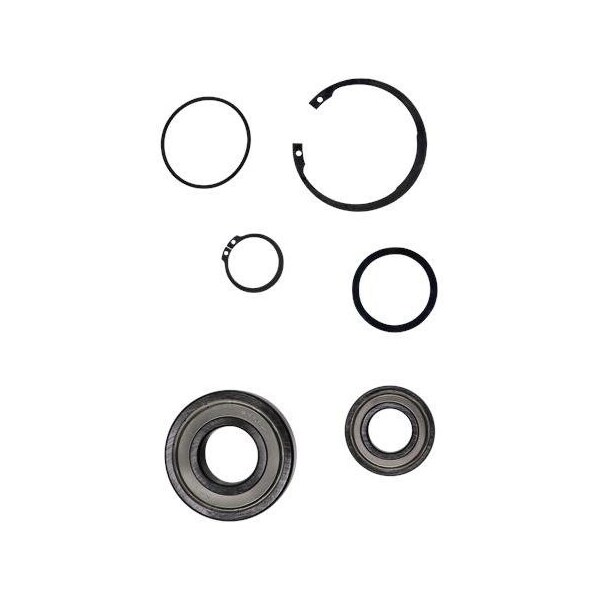 Pump Repair Kits- Kit, Ball Bearing 6308.SYN/6206.SYN, Spare Part.